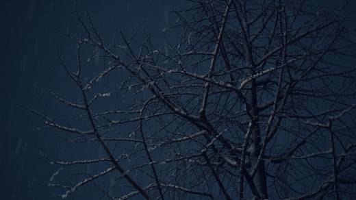Photography by Jun Hori