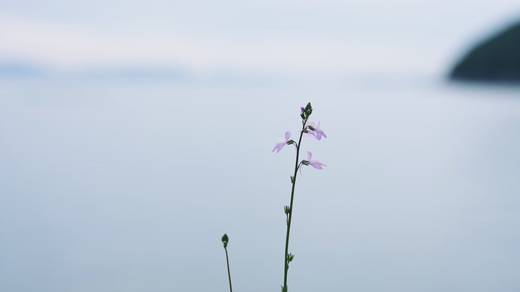 Photography by Jun Hori