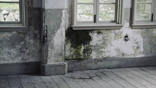 Photography by Jun Hori