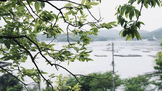 Photography by Jun Hori