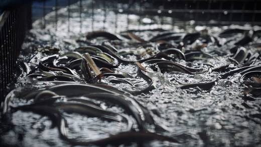 Photography by Jun Hori