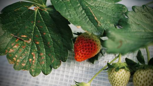 Photography by Jun Hori