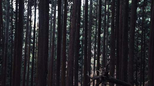 Photography by Jun Hori