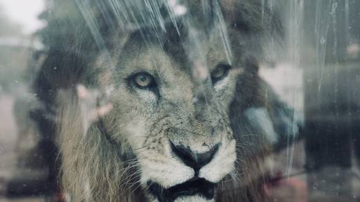 Photography by Jun Hori