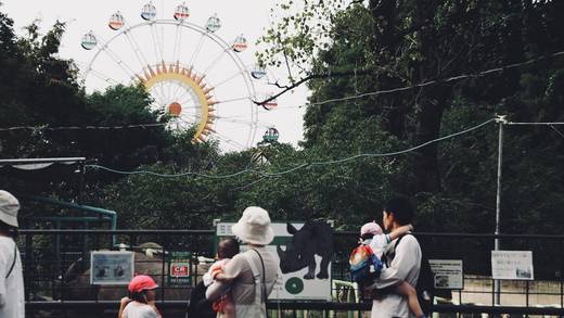 Photography by Jun Hori