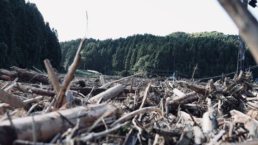 Photography by Jun Hori