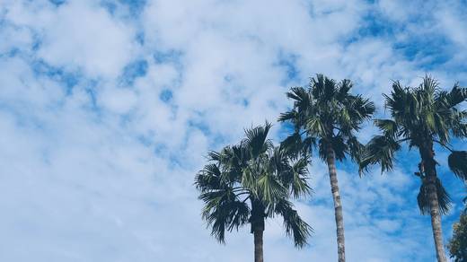 Photography by Jun Hori