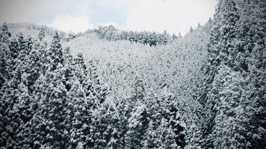Photography by Jun Hori