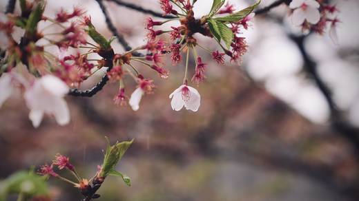 Photography by Jun Hori