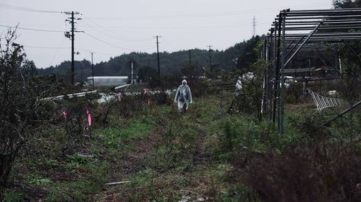 Photography by Jun Hori